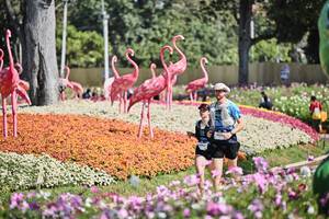 BIB: 
                            <button type="button" onclick="openModal(27793668)" class="btn btn-primary btn-sm float-right btn-popup" data-toggle="modal" data-target=".modal-high-quality">
                        <i class="fas fa-shopping-cart"></i> Add to Cart
                    </button>
                                            <button type="button" onclick="isThisMe(27793668, true)" class="btn btn-success btn-sm float-right btn-popup btn-isme hidden" data-toggle="tooltip" data-placement="bottom" title="นี่คือรูปของคุณใช่ไหม คลิกที่นี่เพื่อเอาเข้าอัลบั้ม">
                        <i class="fas fa-plus"></i> Add to album
                    </button>
                    <button type="button" onclick="isThisMe(27793668, false)" class="btn btn-warning btn-sm float-right btn-popup btn-isnotme hidden">
                        <i class="fas fa-ban"></i> Remove from album
                    </button>